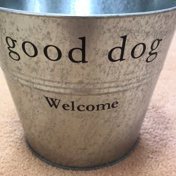 ⭐️HP⭐️ HARRY BARKER Good Dog Silver Toy Bucket - Picture 3 of 10